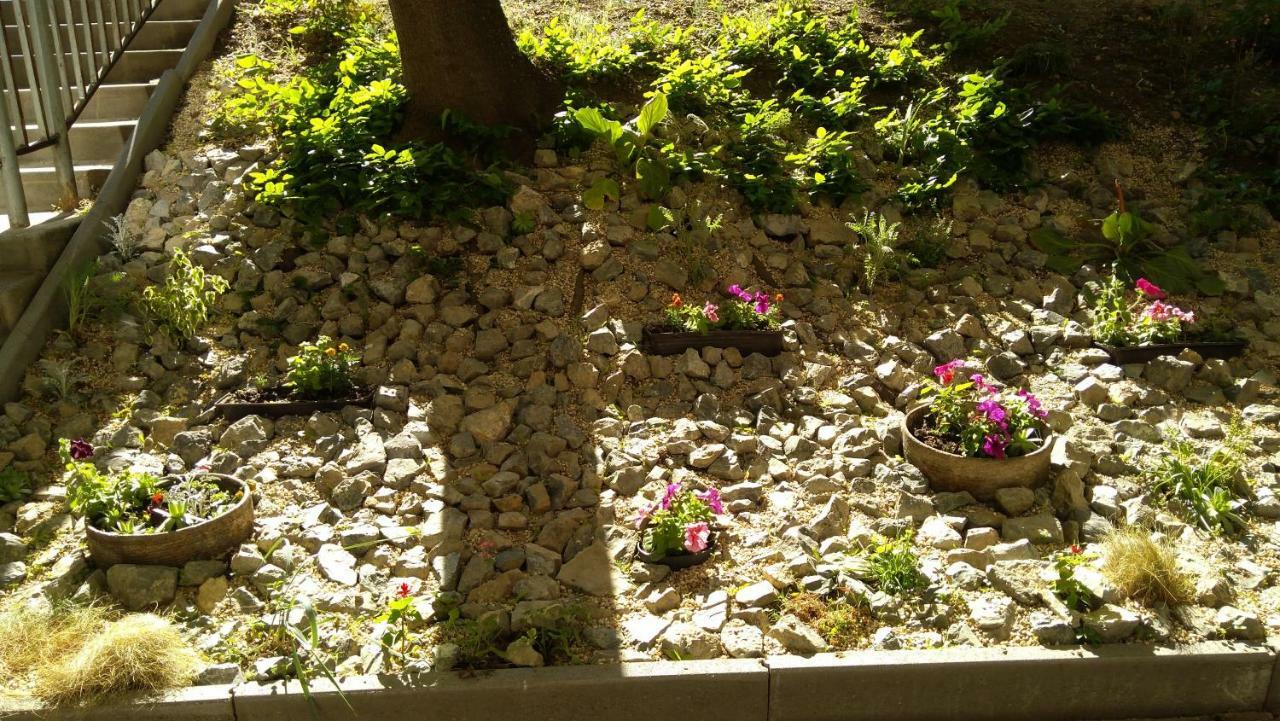 Gesztenyés Apartman Miskolc Extérieur photo