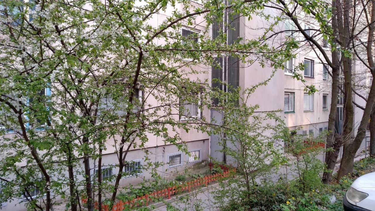 Gesztenyés Apartman Miskolc Extérieur photo